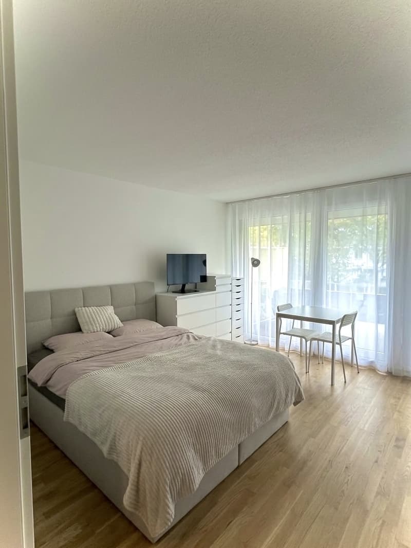 Gemütliche Einzimmerwohnung mit Terrasse ab 1. Dezember 2026 (1)