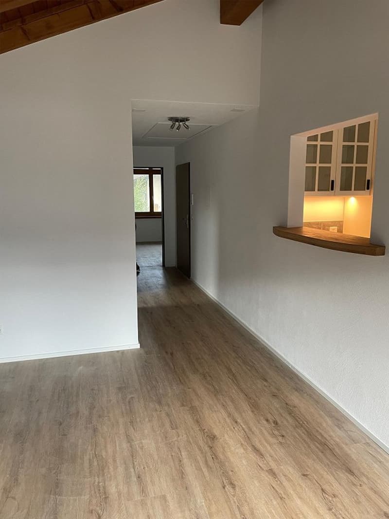 3 Zimmer Dachwohnung (3)