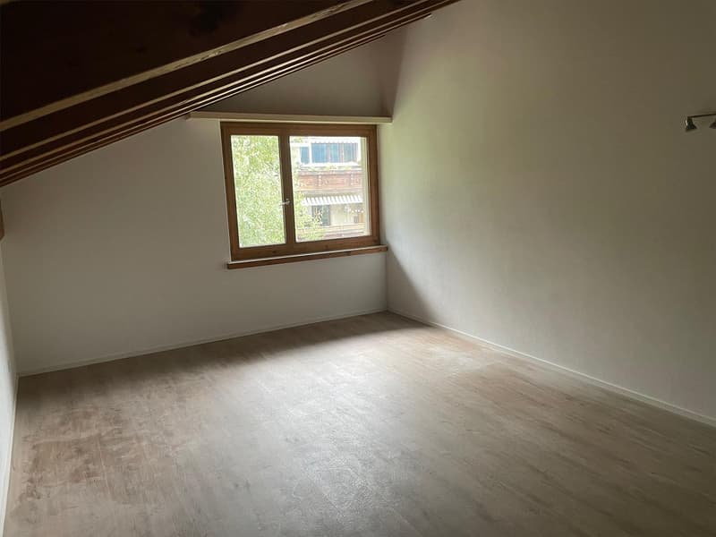 3 Zimmer Dachwohnung (6)