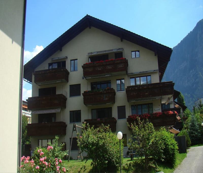 3 Zimmer Dachwohnung (2)