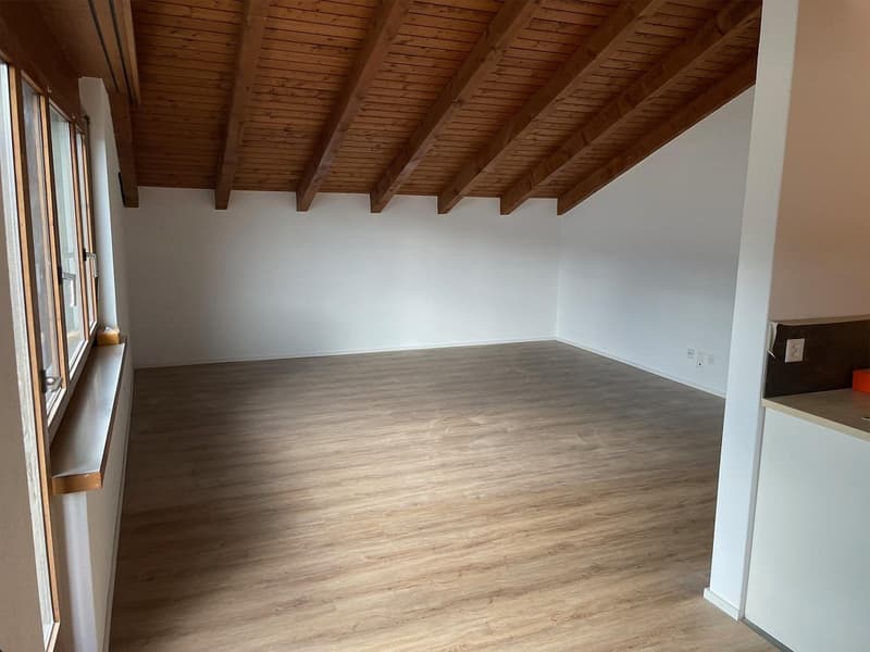 3 Zimmer Dachwohnung (7)