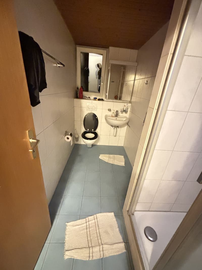 Dachwohnung zu Vermieten (2)