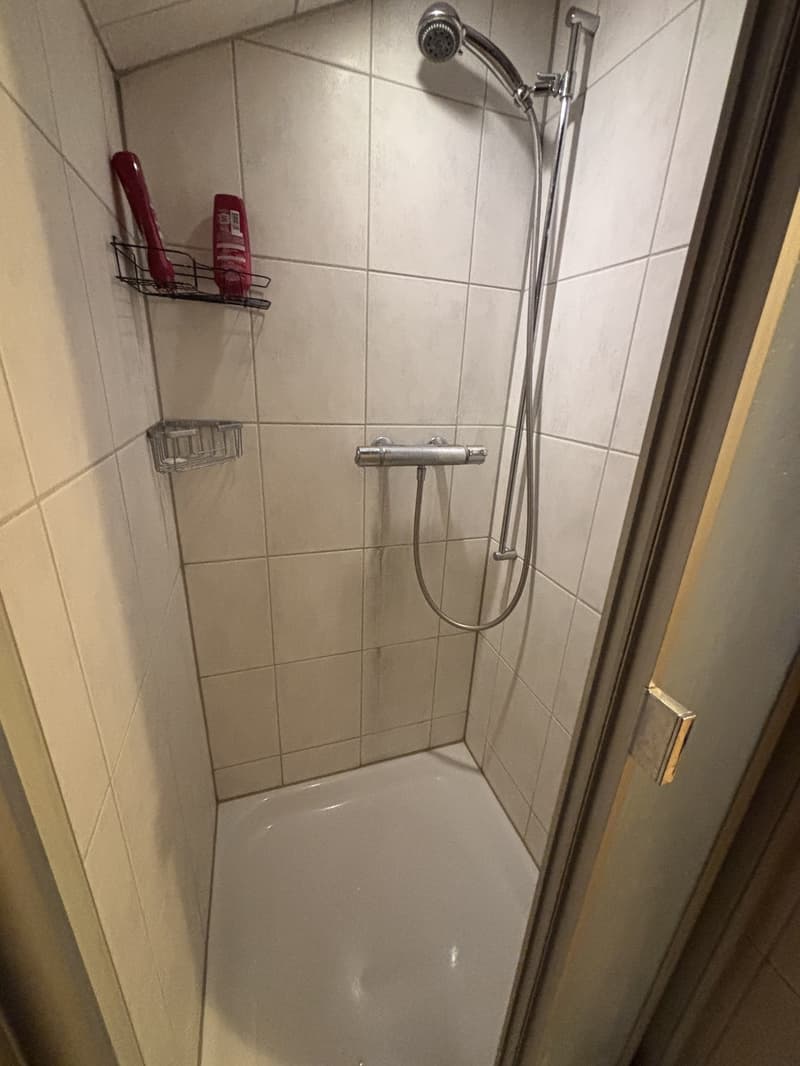 Dachwohnung zu Vermieten (3)