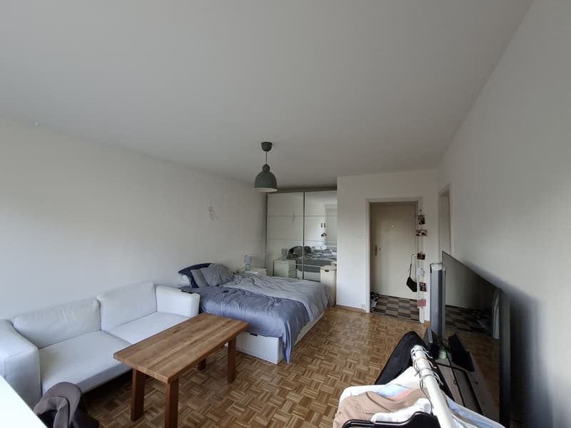 Schöne 1-Zimmer Wohnung im Kleinbasel (2)