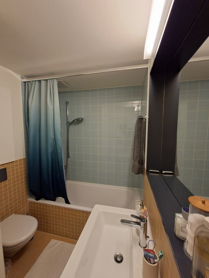 Schöne 1-Zimmer Wohnung im Kleinbasel (8)