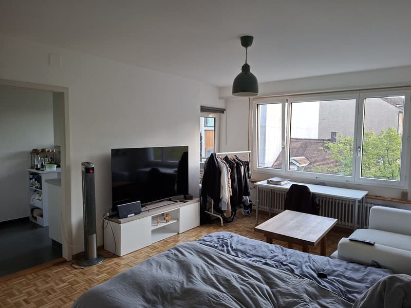Schöne 1-Zimmer Wohnung im Kleinbasel (3)