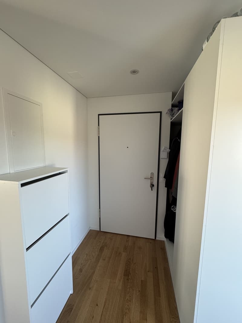 Lichtdurchflutete 2 1/2-Zimmerwohnung in Mülligen (6)