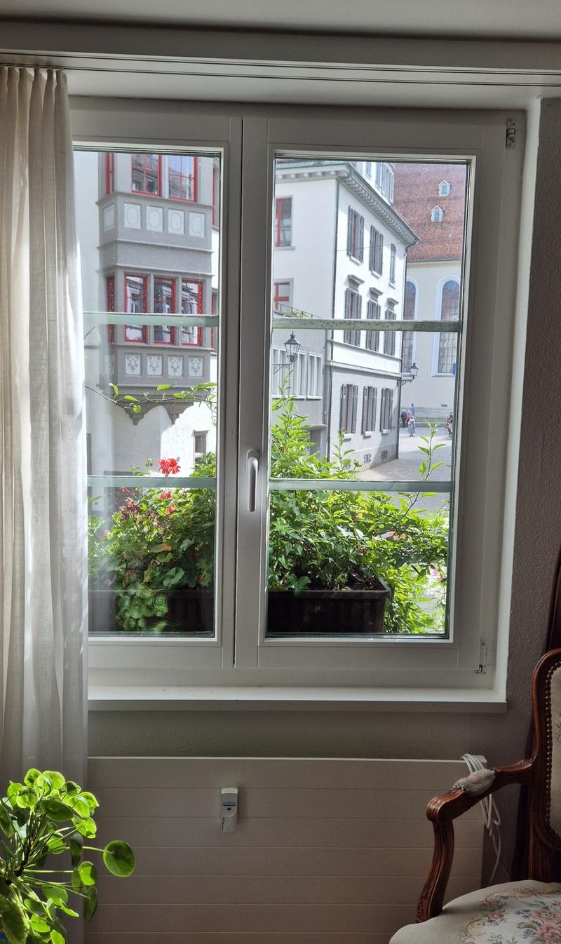 2-Zimmer-Wohnung mitten in der Altstadt (3)
