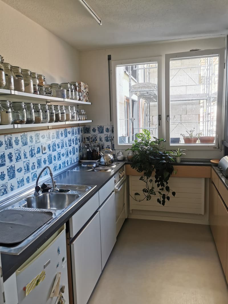 Herzige Wohnung im Kreis 3 - Nähe Goldbrunnenplatz (2)