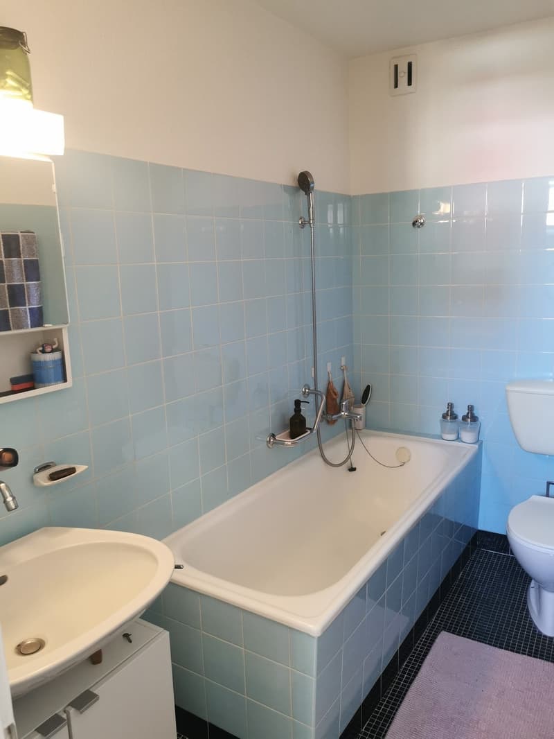Herzige Wohnung im Kreis 3 - Nähe Goldbrunnenplatz (4)