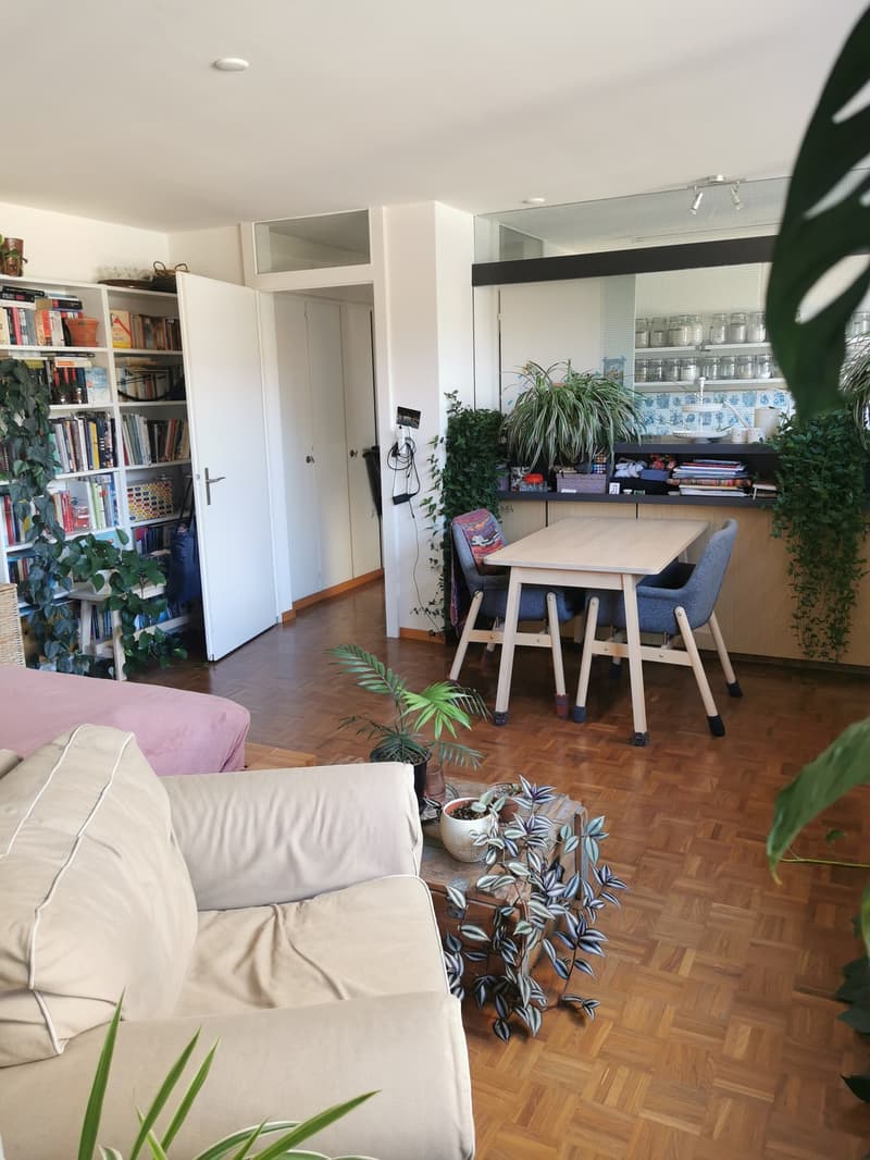 Herzige Wohnung im Kreis 3 - Nähe Goldbrunnenplatz (3)
