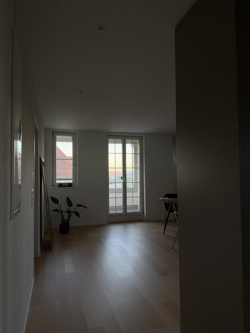 3½-Zimmerwohnung in Adliswil (2)