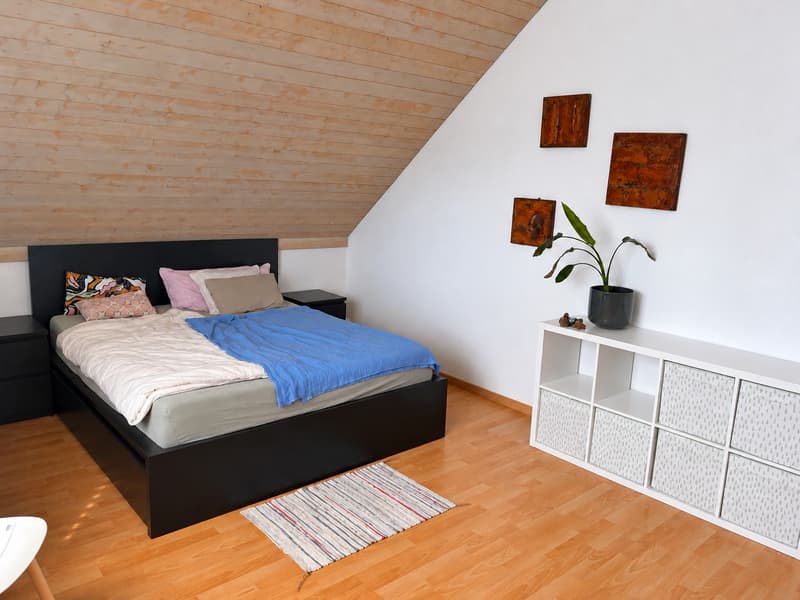 Zentrale Wohnung in Schwerzenbach (3)
