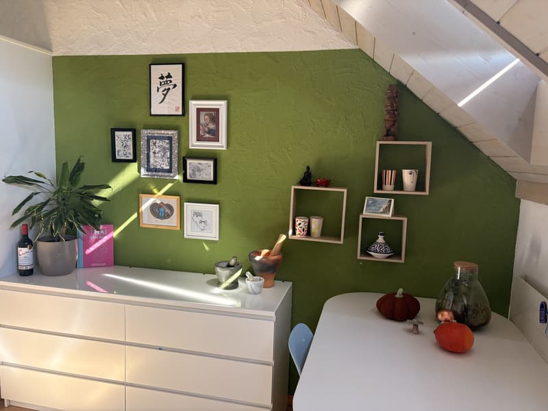 Zentrale Wohnung in Schwerzenbach (9)