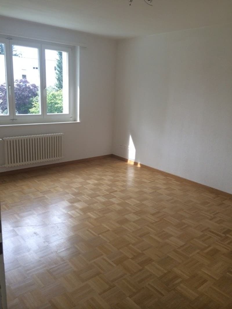 Schöne helle 2 Zimmer Wohnung (5)