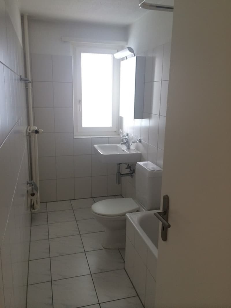 Schöne helle 2 Zimmer Wohnung (3)