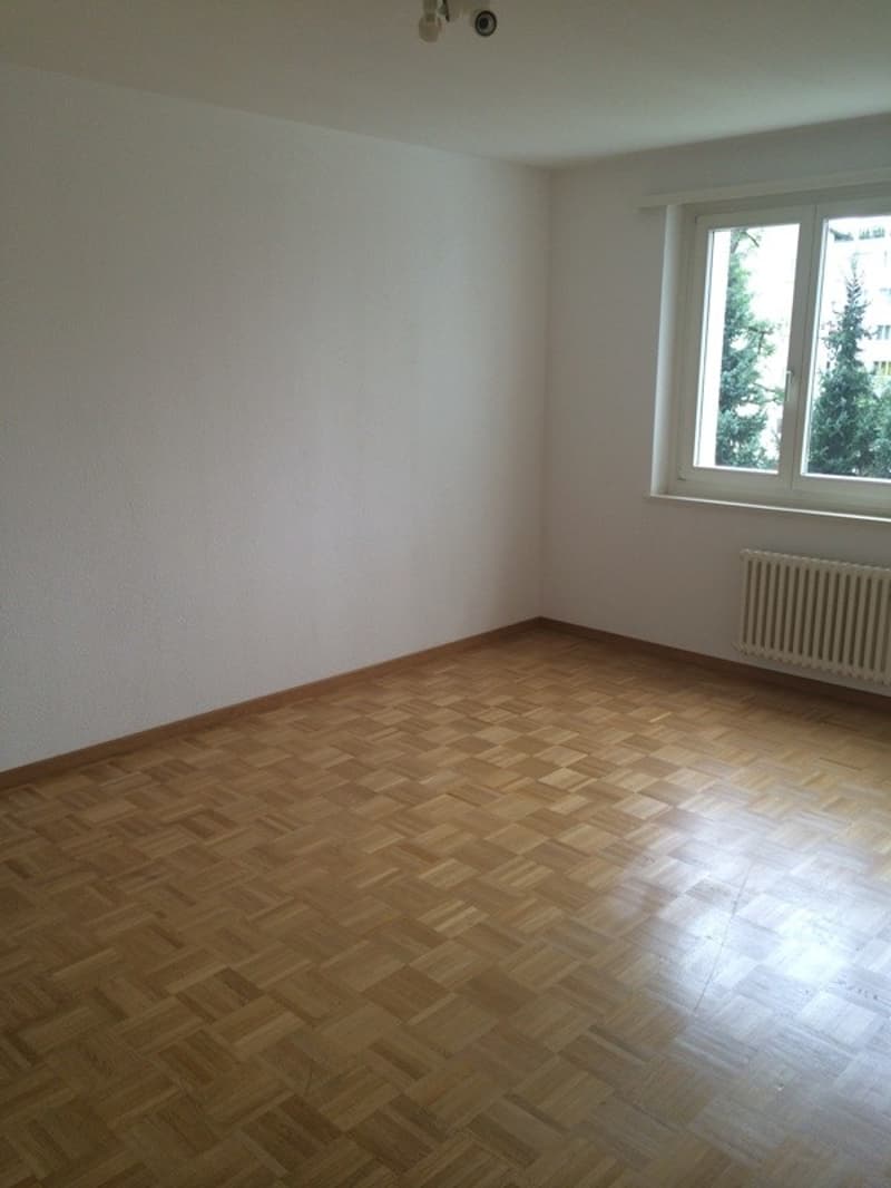 Schöne helle 2 Zimmer Wohnung (2)