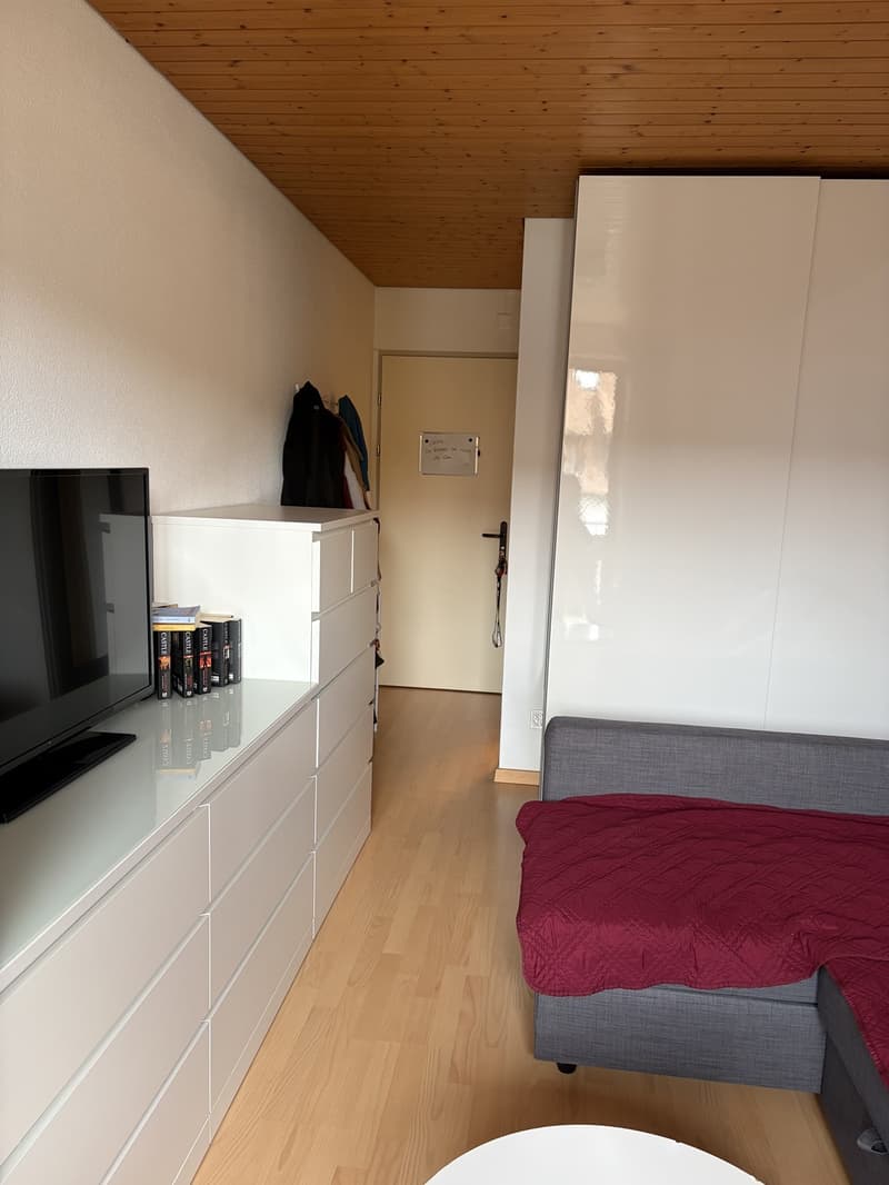 1 Zimmer-Wohnung, 8105 Regensdorf (5)