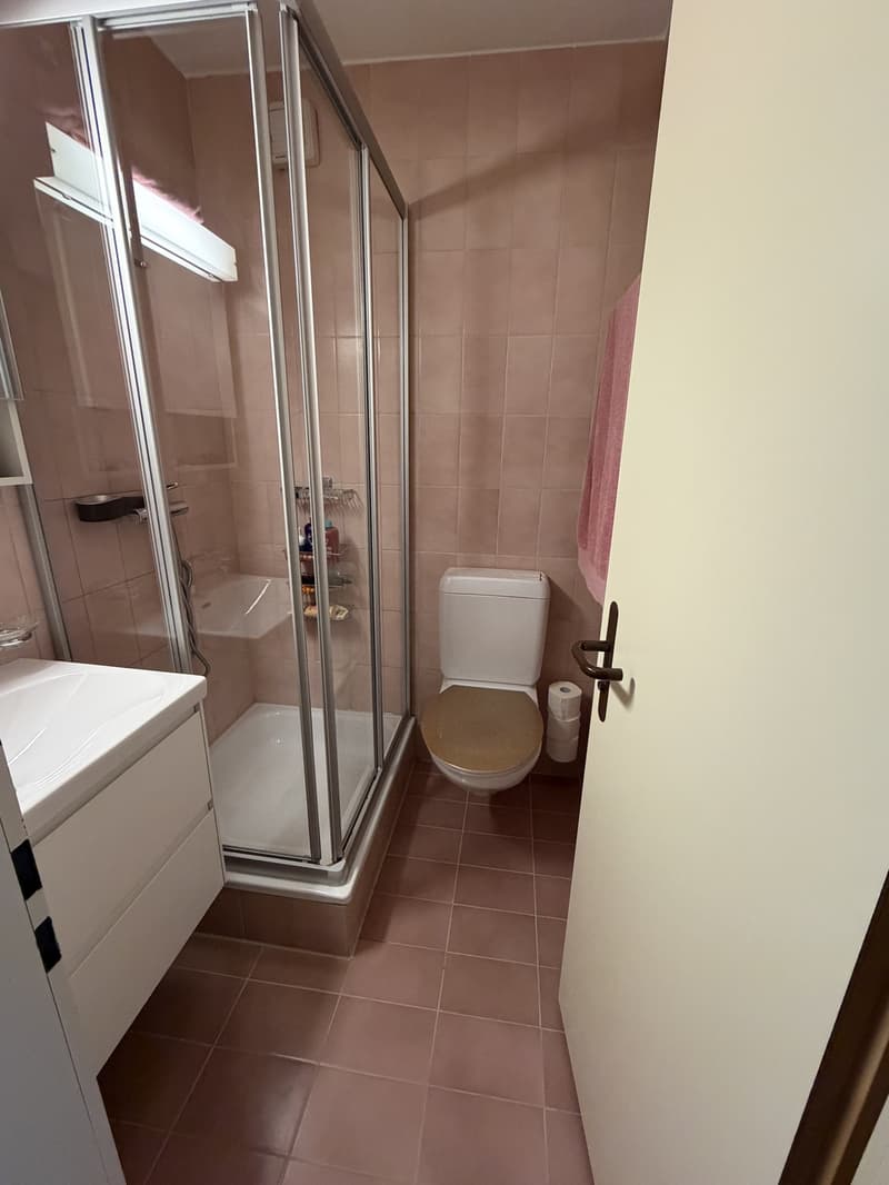 1 Zimmer-Wohnung, 8105 Regensdorf (2)