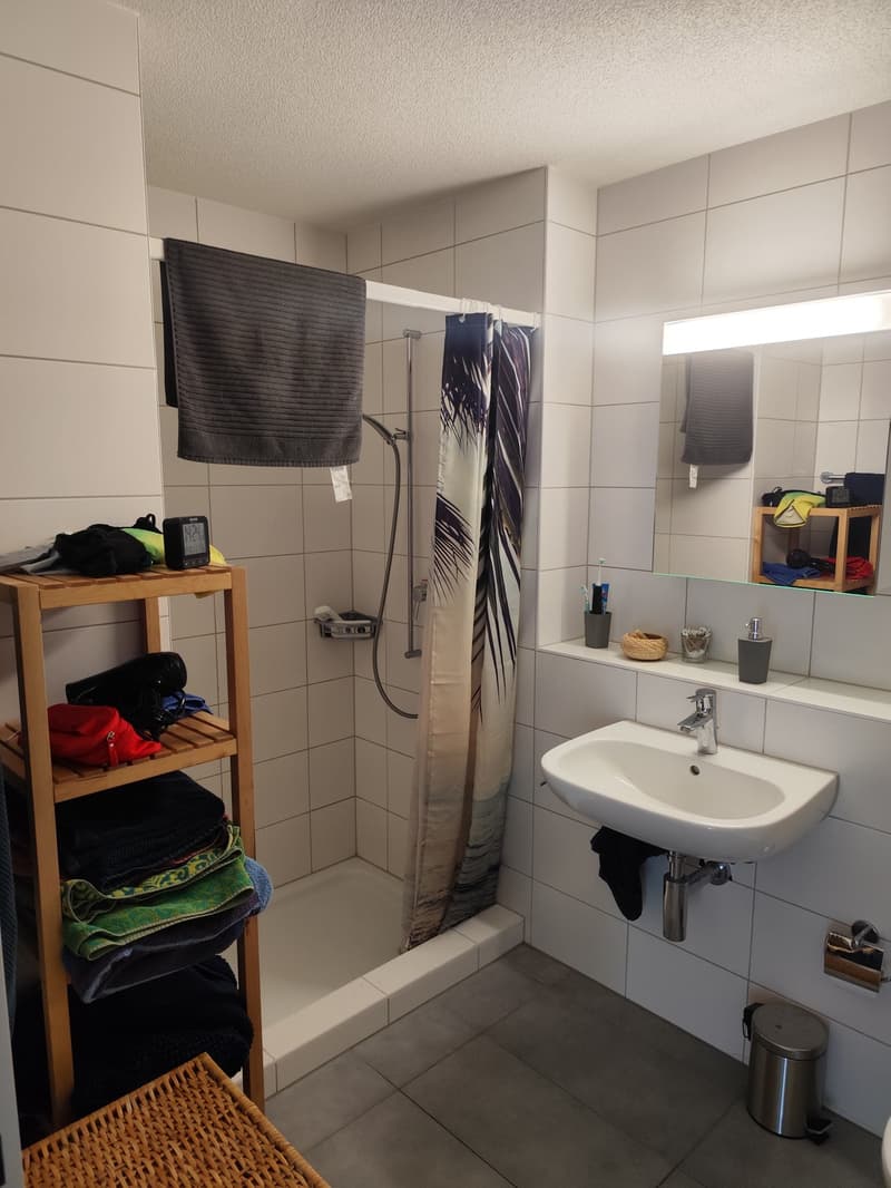 2 ½ Zimmer-Wohnung, 6222 Gunzwil (8)
