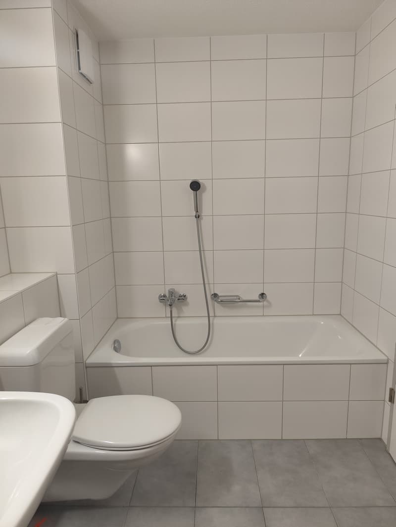 2 ½ Zimmer-Wohnung, 6222 Gunzwil (3)
