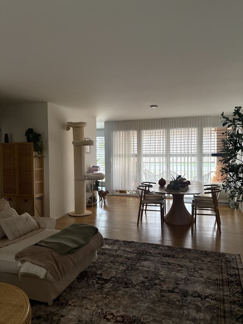 3,5-Zimmer-Wohnung mit Balkon und Terrasse in Allschwil Nachmieter gesucht (3)
