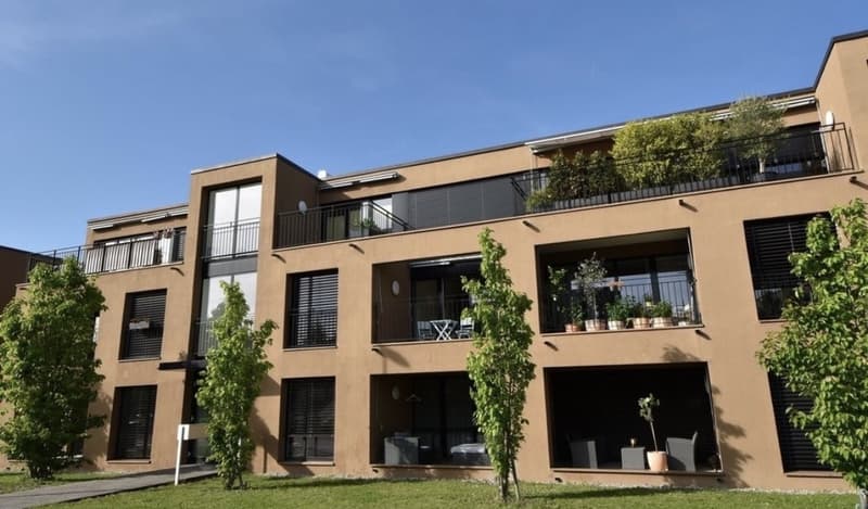 3,5-Zimmer-Wohnung mit Balkon und Terrasse in Allschwil Nachmieter gesucht (2)