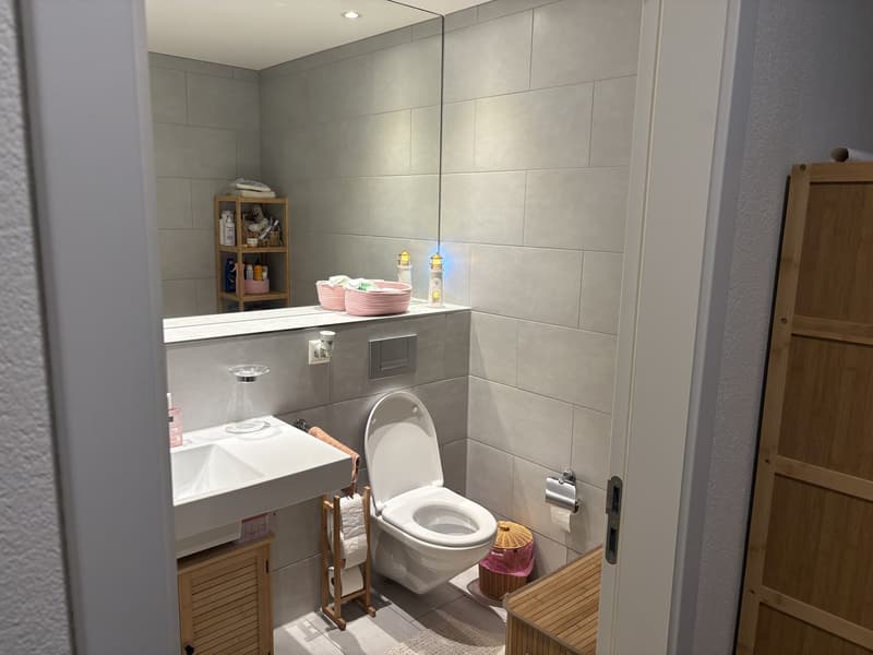 3,5-Zimmer-Wohnung mit Balkon und Terrasse in Allschwil Nachmieter gesucht (6)