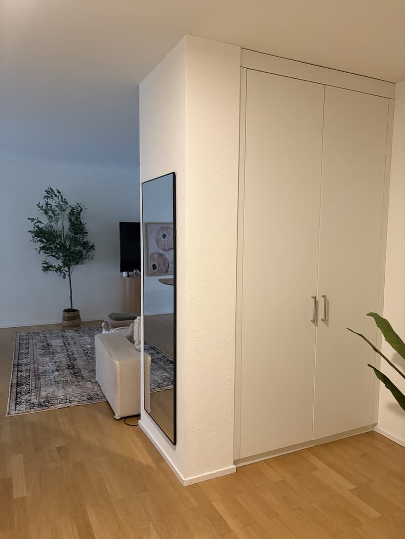3,5-Zimmer-Wohnung mit Balkon und Terrasse in Allschwil Nachmieter gesucht (8)