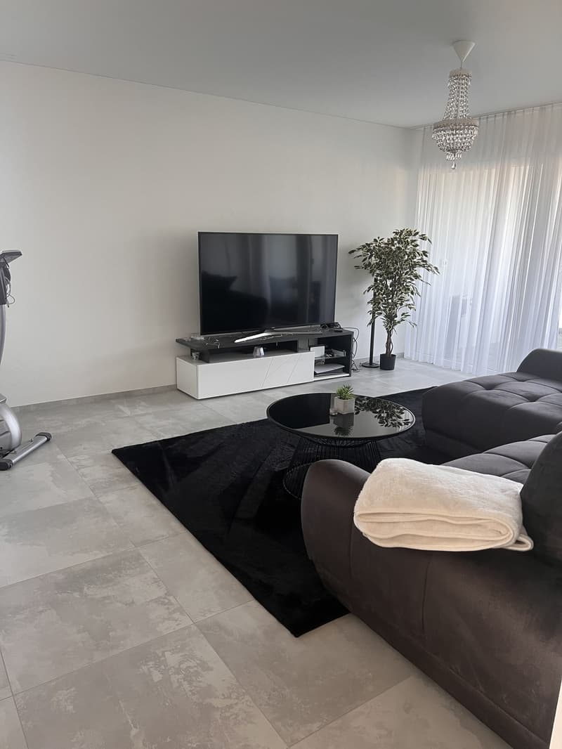 Nachmieter für 2,5 Zimmer Wohnung in Villmergen gesucht (6)