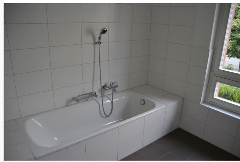 5 ½ Zimmer-Wohnung, 5644 Auw (8)