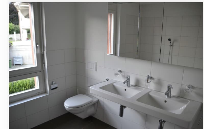 5 ½ Zimmer-Wohnung, 5644 Auw (10)