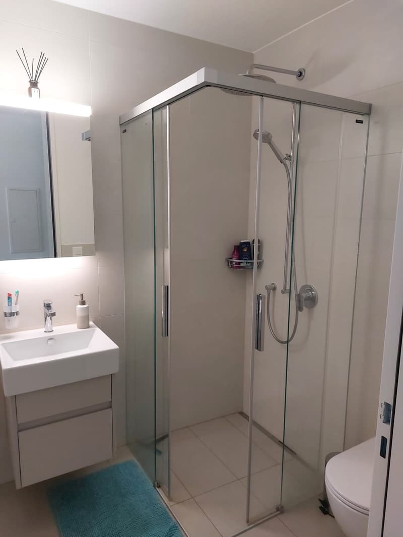 Wunderschöne 3.5 Zimmer Wohnung in Horw (4)
