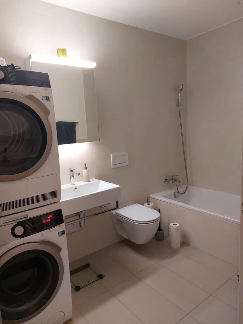 Wunderschöne 3.5 Zimmer Wohnung in Horw (5)