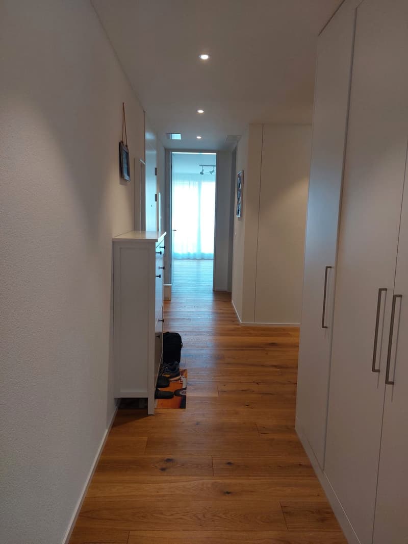Wunderschöne 3.5 Zimmer Wohnung in Horw (8)
