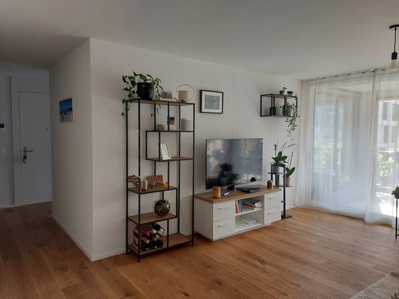 Wunderschöne 3.5 Zimmer Wohnung in Horw (2)