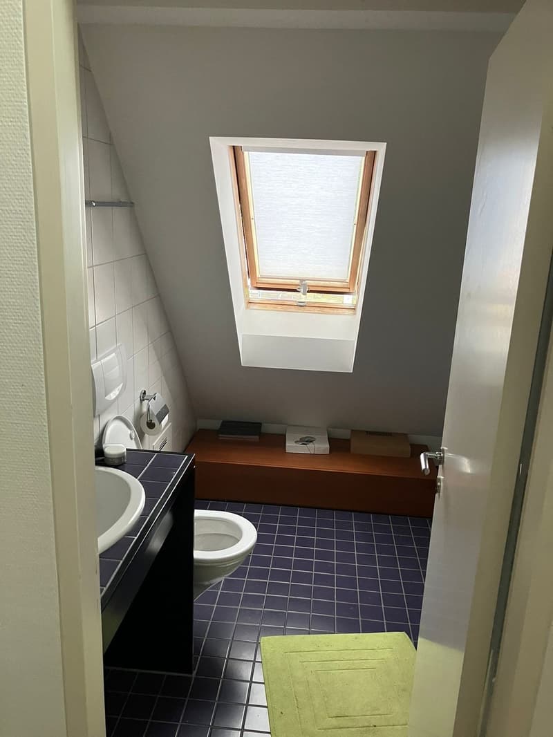 Unbefristetes WG Zimmer in 4er WG mit grossem Wohnzimmer und tollem Balkon (10)