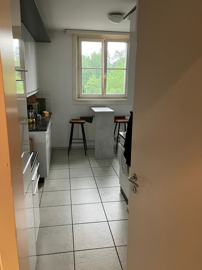 Unbefristetes WG Zimmer in 4er WG mit grossem Wohnzimmer und tollem Balkon (8)