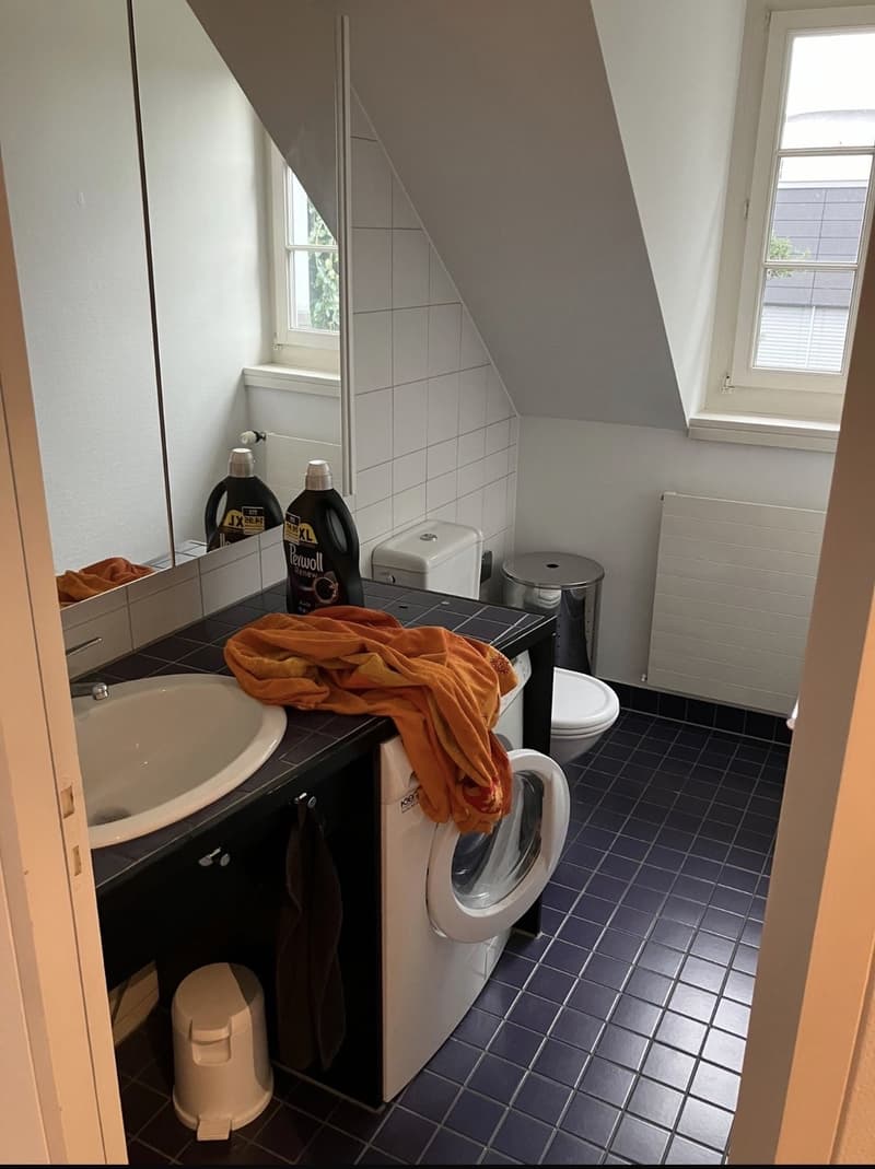 Unbefristetes WG Zimmer in 4er WG mit grossem Wohnzimmer und tollem Balkon (11)