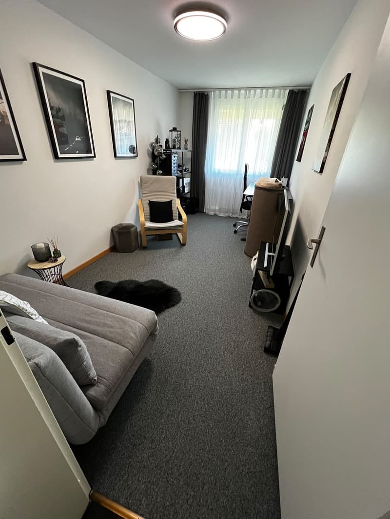Nachmieter für moderne 3,5 Zimmer Wohnung gesucht (5)