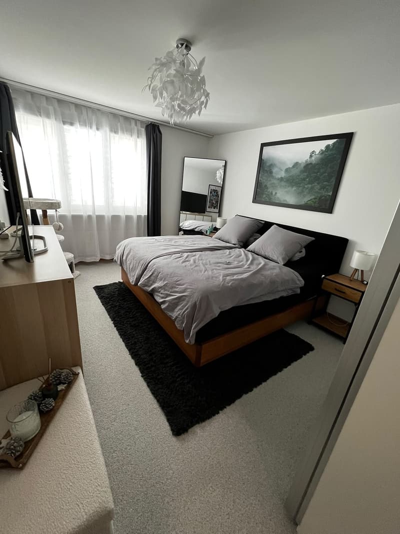 Nachmieter für moderne 3,5 Zimmer Wohnung gesucht (4)