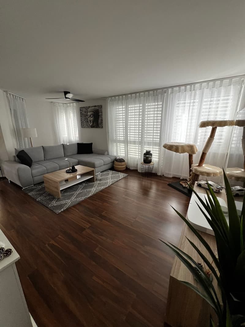 Nachmieter für moderne 3,5 Zimmer Wohnung gesucht (1)