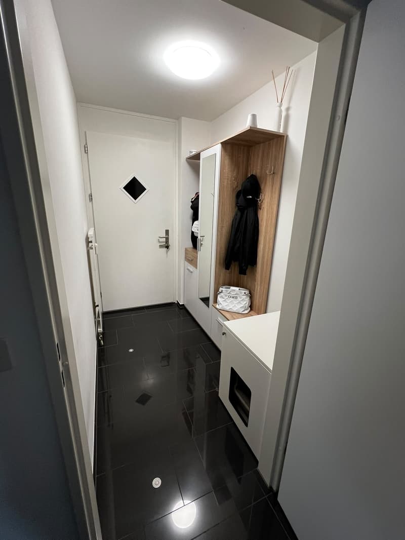 Nachmieter für moderne 3,5 Zimmer Wohnung gesucht (6)