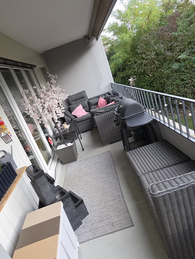 3 ½ Zimmer-Wohnung, 8965 Berikon (3)