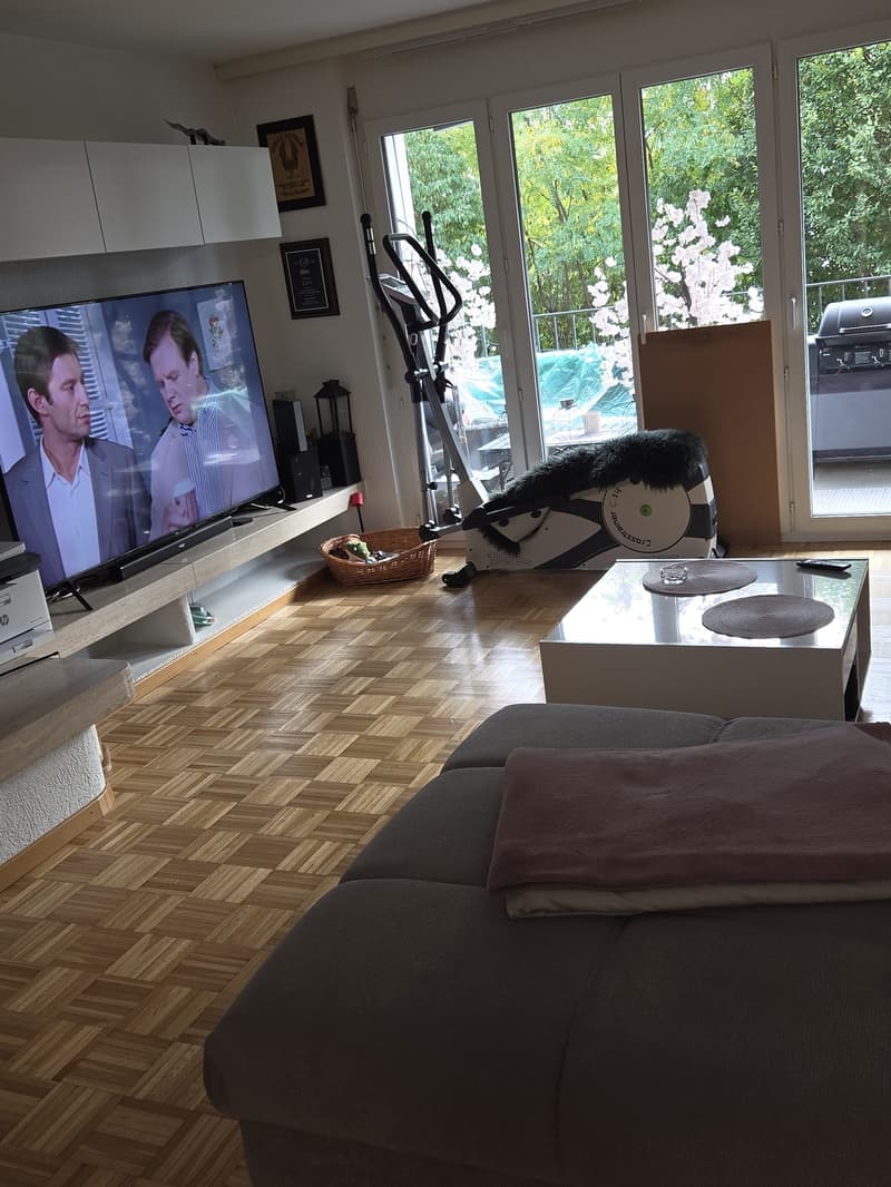 3 ½ Zimmer-Wohnung, 8965 Berikon (1)