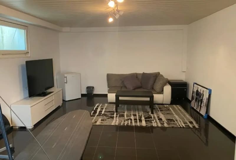 Room in a shared flat, 8400 Winterthur (4)