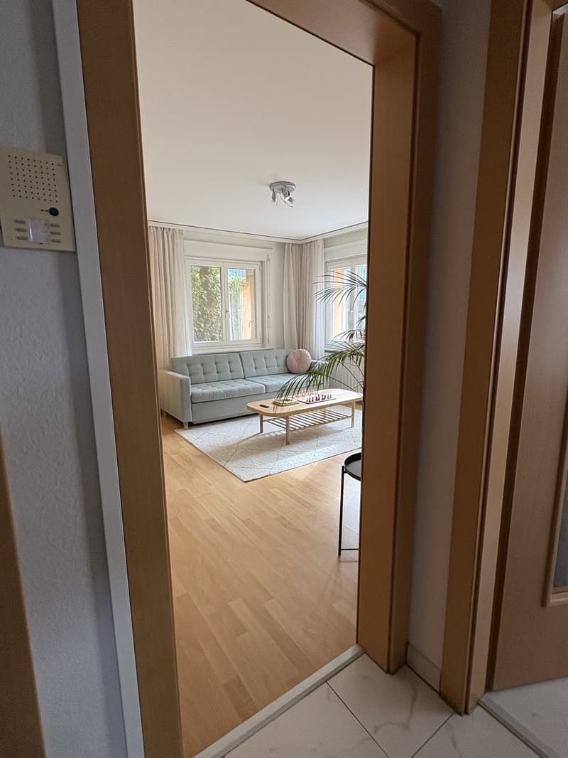 2.5 Zimmer Wohnung in LU Maihof - Ab 01.11.2016 verfügbar (4)