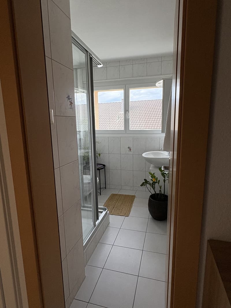 2.5 Zimmer Wohnung in LU Maihof - Ab 01.11.2016 verfügbar (6)