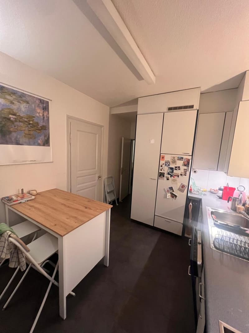 Zentrale 3-Zimmer Wohnung (4)