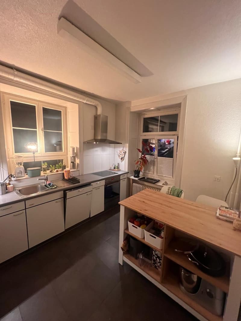 Zentrale 3-Zimmer Wohnung (3)